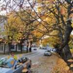 Škola Sporta počinje sa treninzima i vrši upis novih članova