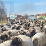 Metalex d.o.o. raspisuje konkurs