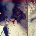 Izdaje se poslovni prostor u Karađorđevoj ulici (FOTO)