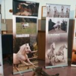 Memorijalni turnir “Slobodan Boban Podgorac”