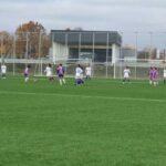 Izložba golubova u Glogovcu – Štrpci FOTO