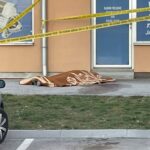 Uručene studentske nagrade