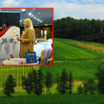 Prnjavor: Na prodaju prikolica (FOTO)