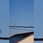 Brijačnica “Tatarević” od sada nudi online zakazivanje termina