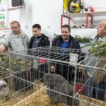 (FOTO) RANIJE JE I SAMA DONIRALA KOSU Teodori iz Prnjavora potrebna pomoć humanih ljudi, oporavak ove hrabre djevojčice napreduje