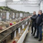 Svetosavski turnir 2022