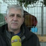 Na Svetosavskom turniru u futsalu prvi put ženske ekipe (FOTO)