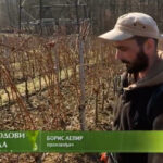 Promovisana knjiga “Zimski mir sa vilom Božicom” Prilog TV K3