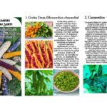 Tomaš: Opština će pomoći stambeno zbrinjavanje tri porodice