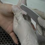 Održana godišnja skupština Udruženja penzionera