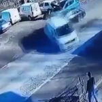 Večeras na RTRS u 20:10 premijera dokumentarnog filma “Vukovi sa Vučijaka”