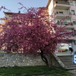 Sutra predstava “To nisam ja”