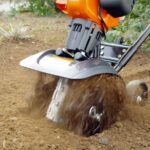 Precisely what is the Best Free of charge Dating Site?