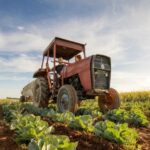 OŠ “Nikola Tesla” od firme I-SELIMOVIĆ D.O.O. Cazin za 27 366,00 KM bez PDV-a kupuje 60t goriva na bazi drveta