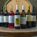 Glasajte za Draganu Stanić za prolazak u naredni krug u emisiji “Nikad nije kasno”