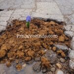 Sakib Mahmuljin osuđen na osam godina zatvora, nije spriječio ubistva i nečovječna postupanja na području Vozuće i Zavidovića