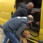 Triglav osiguranju 785,86 KM za kasko osiguranje opštinske “Škode Oktavie”