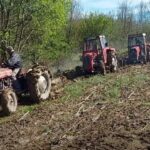 Vandali uništavaju nedavno rekonstruisani gradski park
