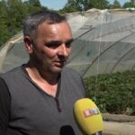 “Сербус Европеикус” вечерас у Центру за културу