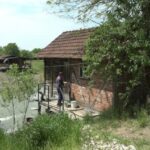 Meet up with a Single Ukrainian Woman