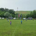 Da li ste se pitali zašto na Bonitovom pudingu s okusom jagode na slici je kupina?