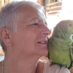 Aleksandar Žižak bez konkurencije