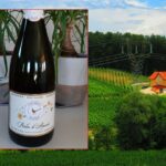 Crveni krst Prnjavor- Danas druga akcija darivanja krvi