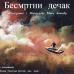 Bivši ambasador Vasić: CEFTA kao treći stub EEA optimalno rješenje za Zapadni Balkan