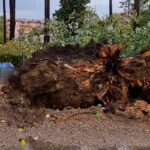 Olujno nevrijeme zahvatilo Prnjavor pričenjena veća materijalna šteta FOTO