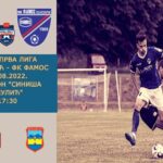 Jato od pedesetak roda iznad Prnjavora VIDEO