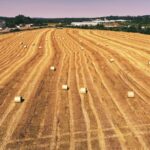 Šipragić: Tuberkuloza skoro u potpunosti iskorijenjena