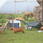 Nakon 7 odigranih kola Omladinske kvalitetne lige Republike Srpske pionirska slekcija Ljubića na prvom mjestu