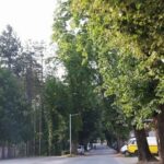 Veliki crkveno-narodni sabor u manastiru Pokrova Presvete Bogorodice D. Bišnja kod Dervente