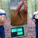 Prijem 2 nastavnika u JU Osnovna škola „Ivo Andrić“ Prnjavor