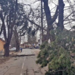 Milica Lepir na Sedmom kupu Matematičke gimnazije