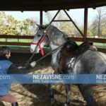 VII dječiji folklorni susreti, Prnjavor 26.11.2022- najmlađi (VIDEO)