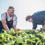 Preduzeće Standard zapošljava na sledećim pozicijama