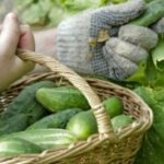 Izvještaj sa 18. redovne sjednice SO Prnjavor Prilog TV K3