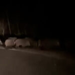 Gimnazija Prnjavor: Kampanja 16 dana aktivizma protiv rodno zasnovanog nasilja