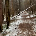 U utorak izbor sportiste opštine Prnjavor