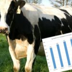 Doček Nove godine priređen na Trgu srpskih boraca Prilog TV K3