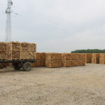 ZU “Kuća Zdravlja dr Marjanović”: U duhu mjeseca borbe protiv raka grlića materice u februara ginekološki pregled sa PAPA testom u pola cijene