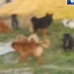 Ko su uhapšeni sa kilogramom kokaina u Banjaluci?