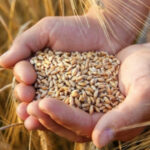 Veče atletike predstavio uspjehe AK ”Prnjavor” u protekloj godini: Uspjeh oblježen sa preko 130 medalja (FOTO)