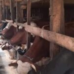 Prnjavorčankama stihovi na poklon za dan žena