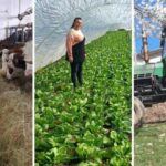 Planinari očistili stazu, neodgovorni građani je za par sati zatrpali smećem