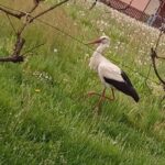 Poklon skuter za RVI i regionalno otvaranje moto sezone, aktivan vikend MK ” Prnjavor 07”