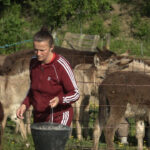 KP “Park” Prnjavor: Obavještenje o promjeni cijena usluga