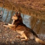 3×3 Prnjavor kod gradonačelnika Tomaša