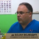 Dragan Jovičić proizvođač rasada iz Drenove Prilog TV K3